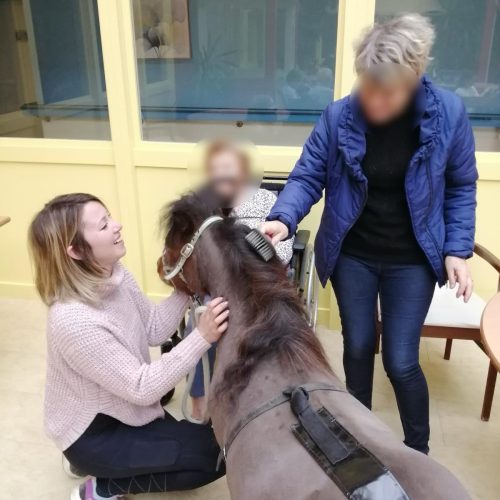 WhatsApp Image 2024-03-05 at 15.11.38