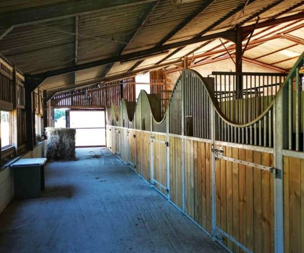 box paddock